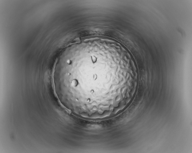 X0000115700649200911121405