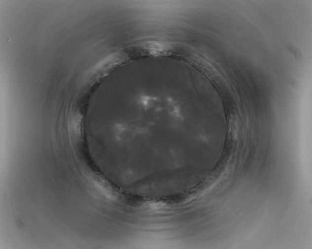X0000115700650200911121405