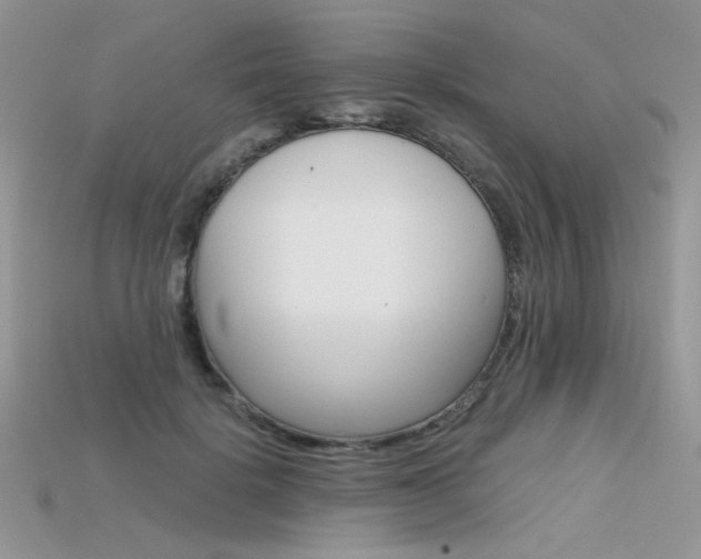 X0000115700652200911121405