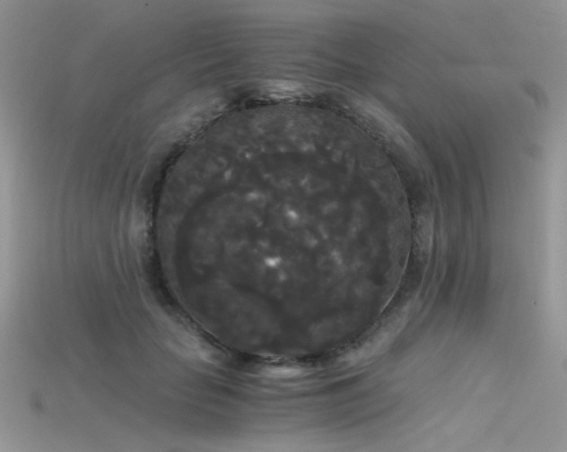 X0000115700653200911121405