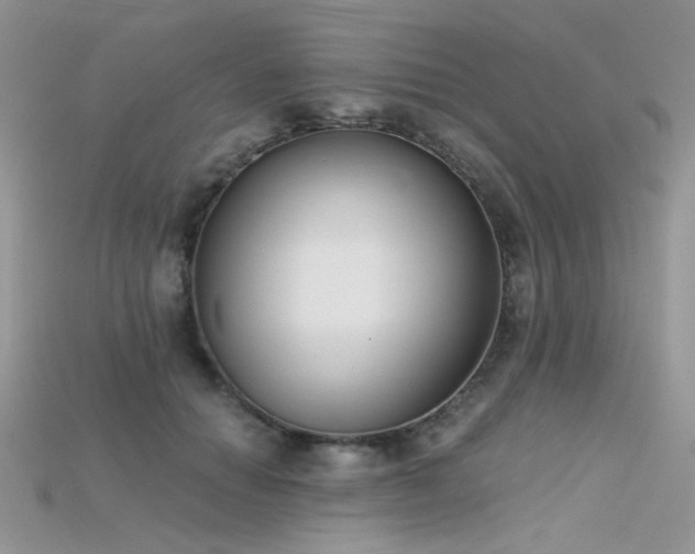 X0000115700654200911121405