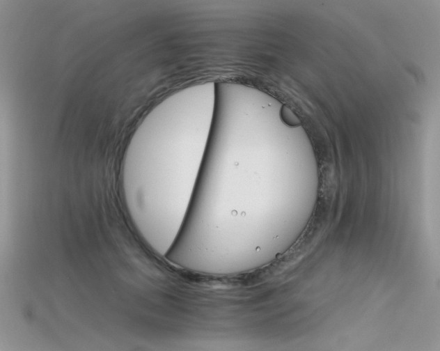 X0000115700655200911121405