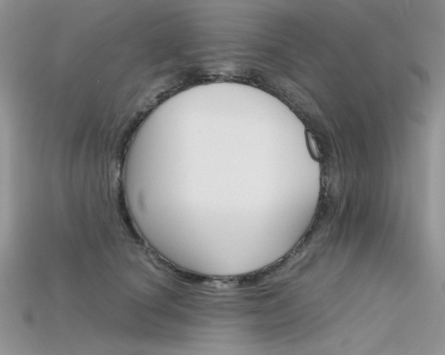X0000115700660200911121405