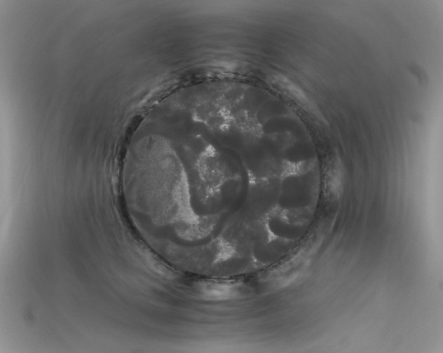 X0000115700661200911121406