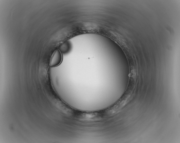 X0000115700662200911121406