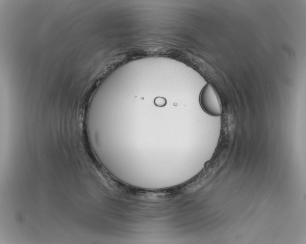 X0000115700664200911121406