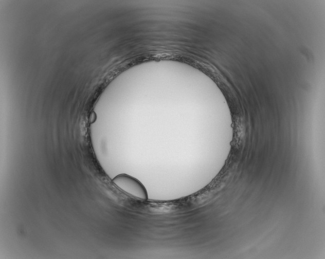 X0000115700667200911121406