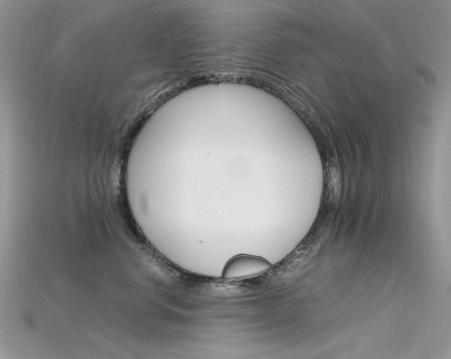 X0000115700668200911121406