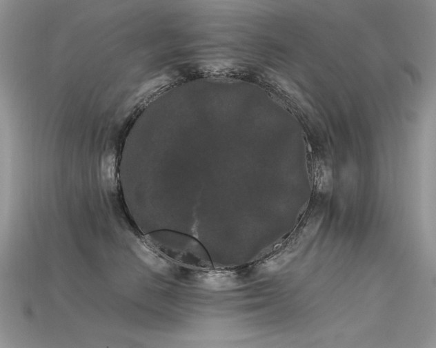 X0000115700670200911121406