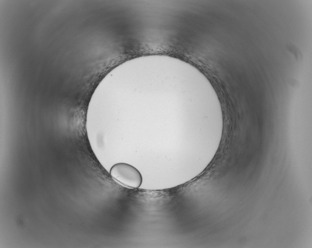 X0000115700672200911121406