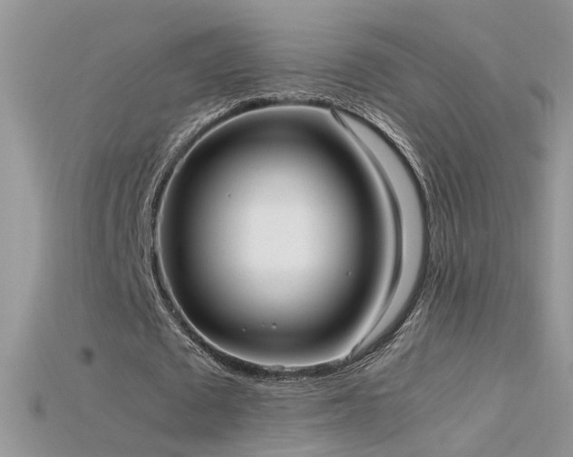 X0000115700673200911121405