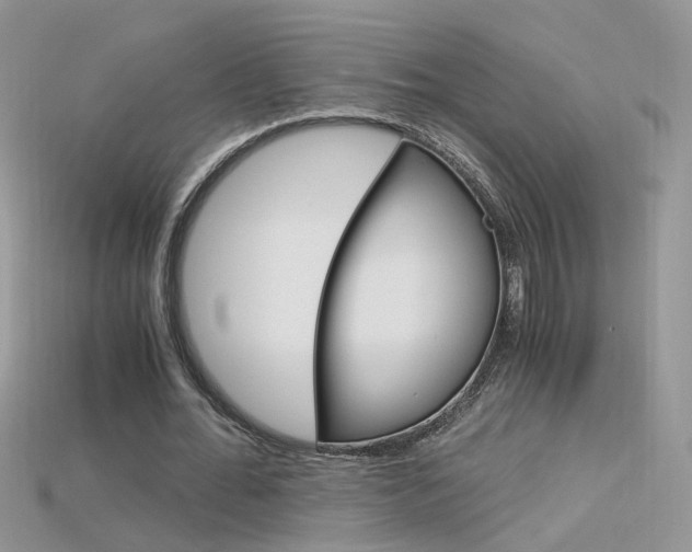 X0000115700676200911121405
