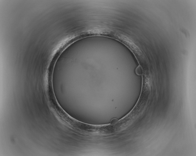 X0000115700678200911121405