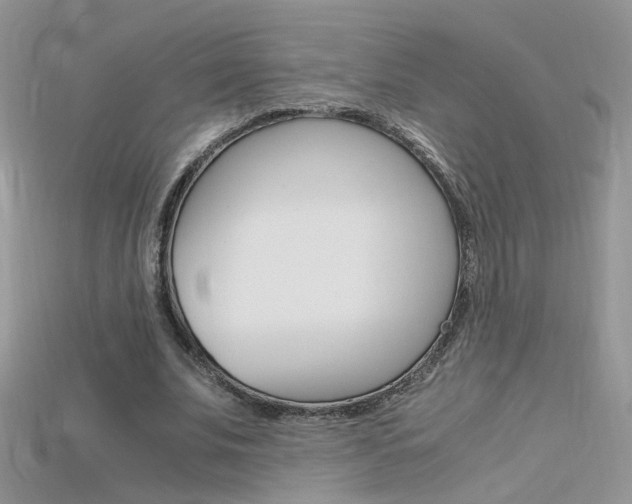 X0000115700679200911121405