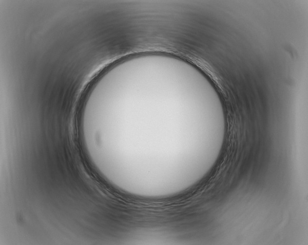 X0000115700680200911121405