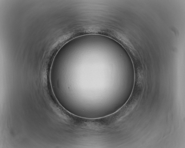 X0000115700681200911121405