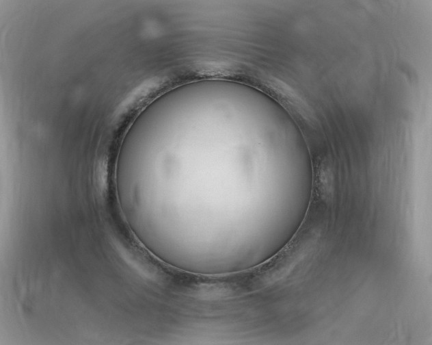 X0000115700686200911121405