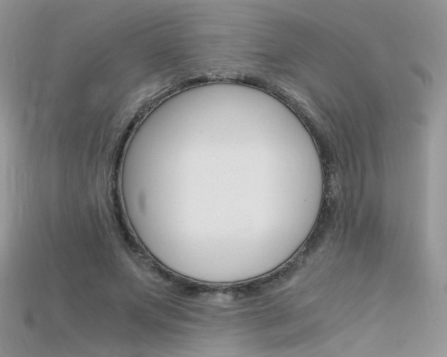 X0000115700687200911121405