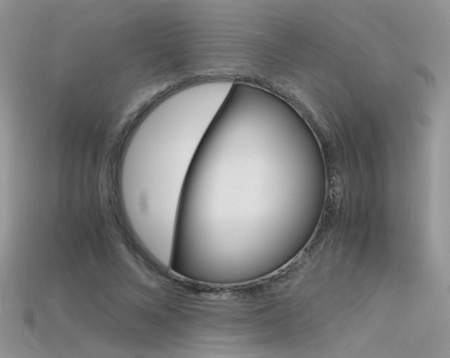 X0000115700688200911121405