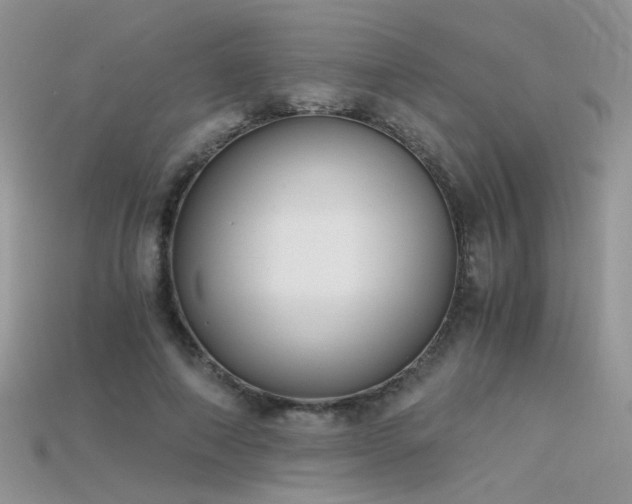 X0000115700690200911121405