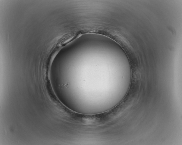 X0000115700693200911121405