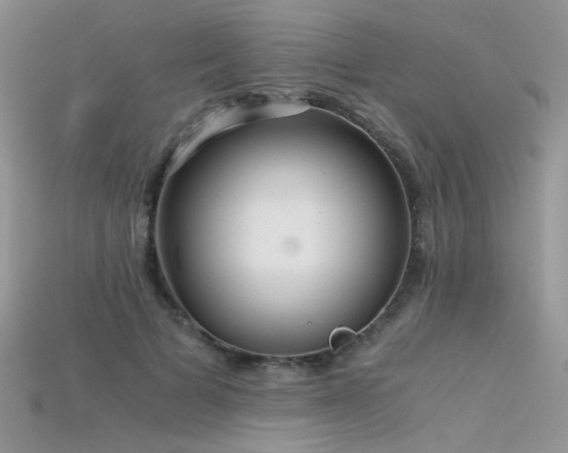 X0000115700697200911121405