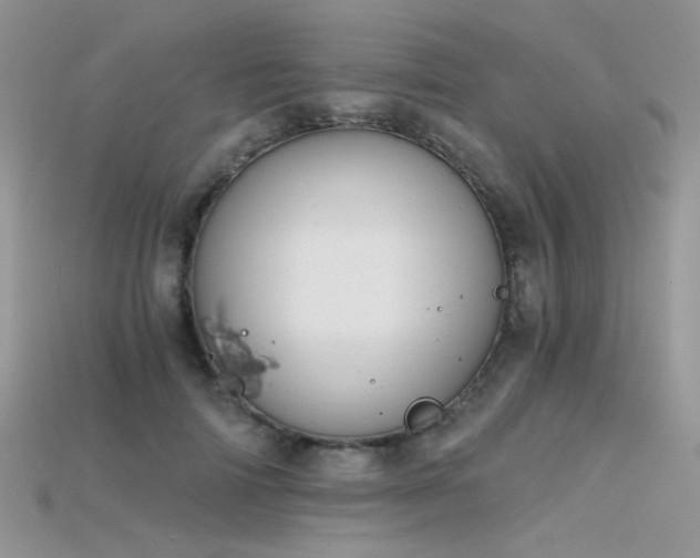 X0000115700698200911121405