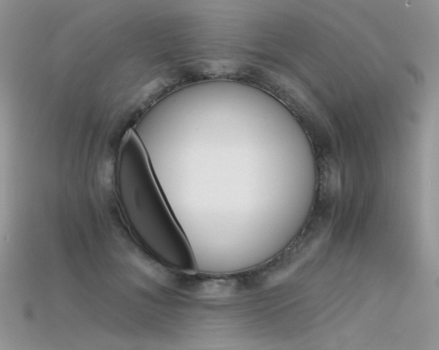 X0000115700700200911121405