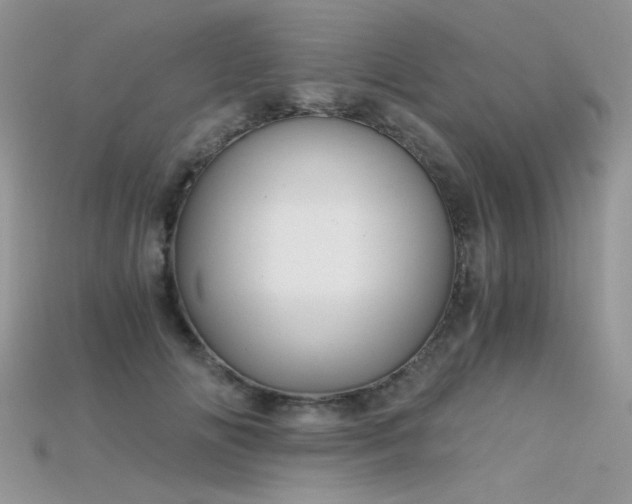 X0000115700702200911121405
