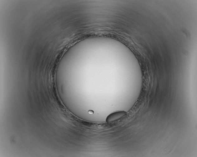 X0000115700704200911121405
