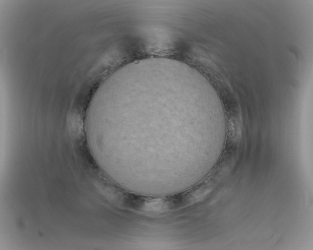 X0000115700705200911121405