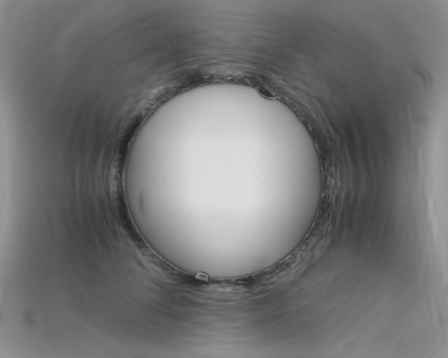 X0000115700708200911121405