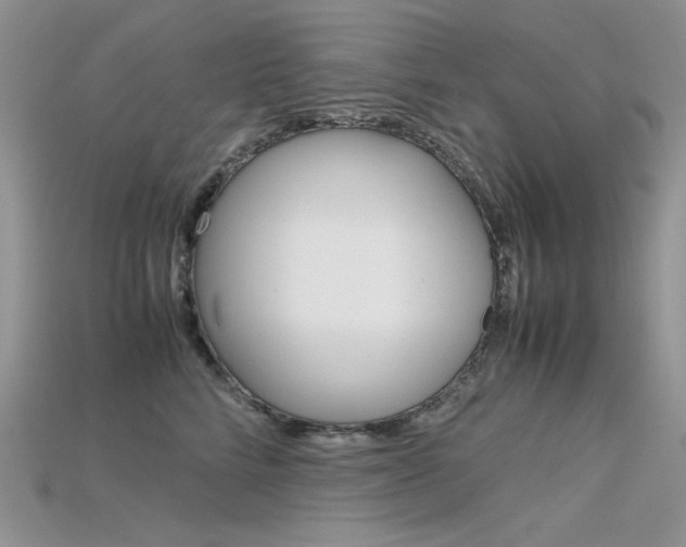 X0000115700712200911121405
