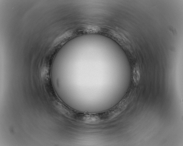 X0000115700714200911121405