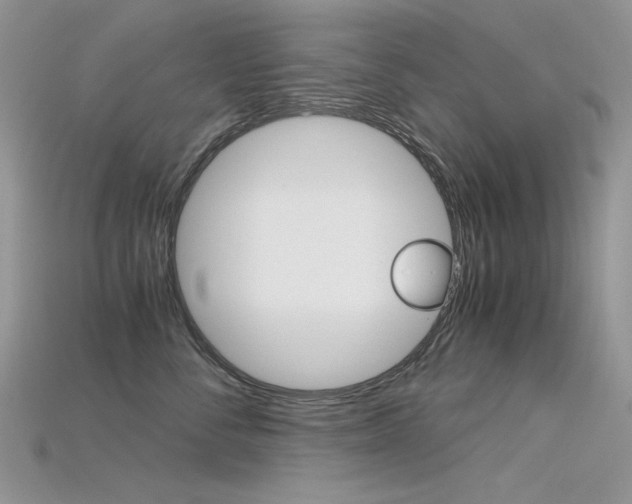 X0000115700716200911121404