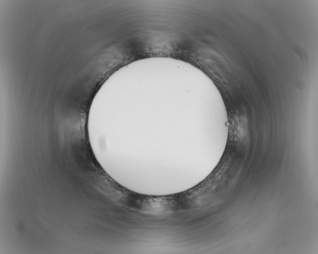 X0000115700717200911121404