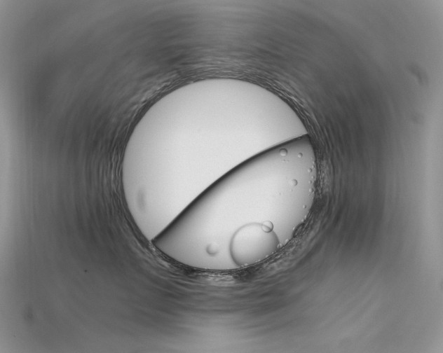 X0000115700719200911121404