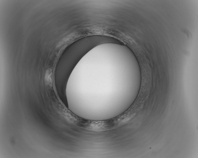 X0000115700720200911121404