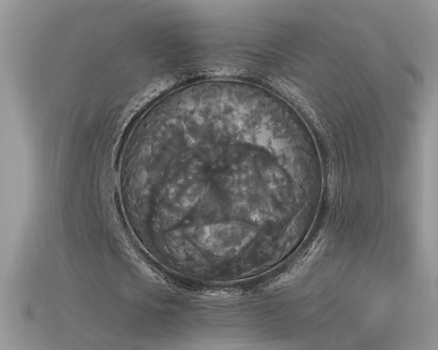 X0000115700721200911121404