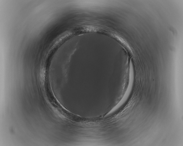 X0000115700722200911121404