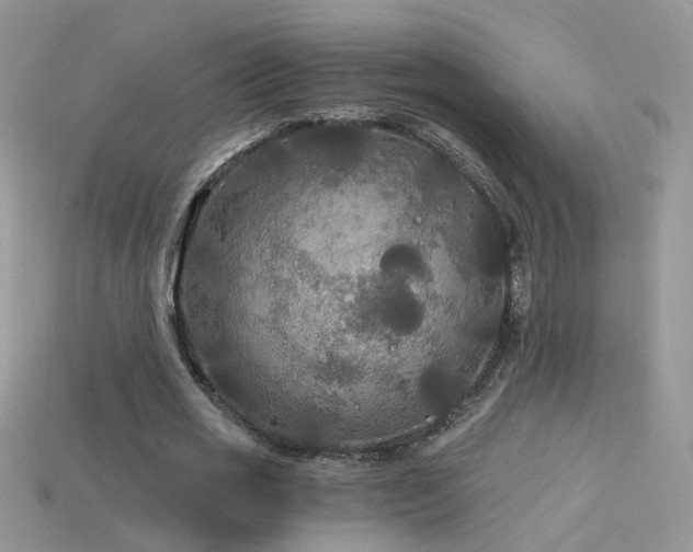 X0000115700725200911121404