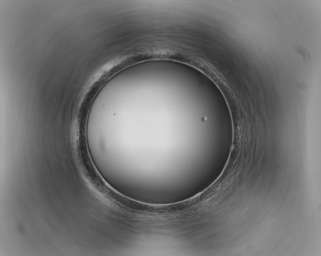 X0000115700726200911121404