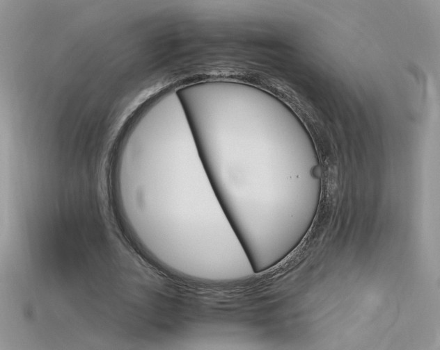 X0000115700727200911121404