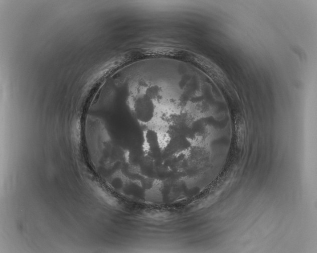 X0000115700729200911121404