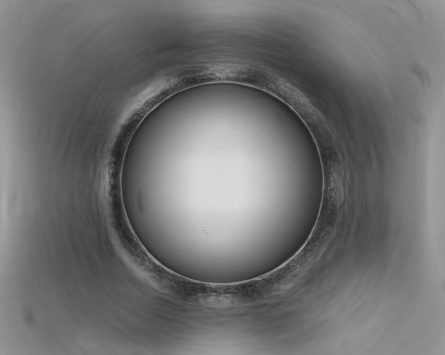 X0000115700730200911121404