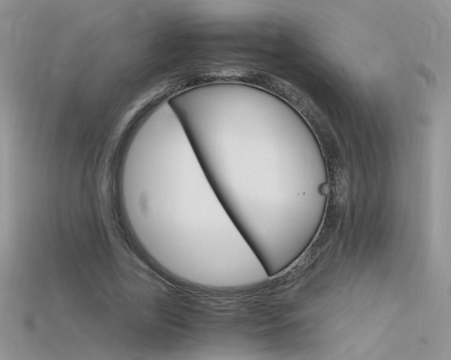 X0000115700731200911121404