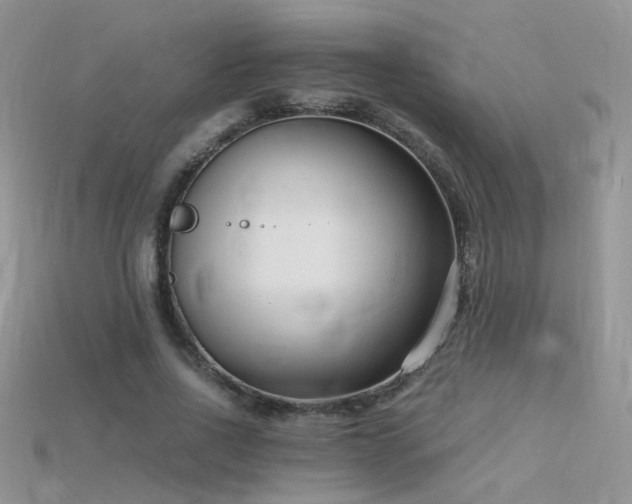 X0000115700734200911121404