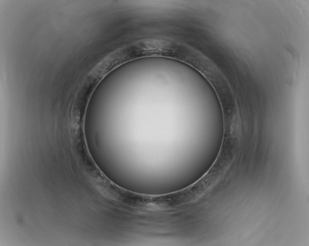 X0000115700737200911121404