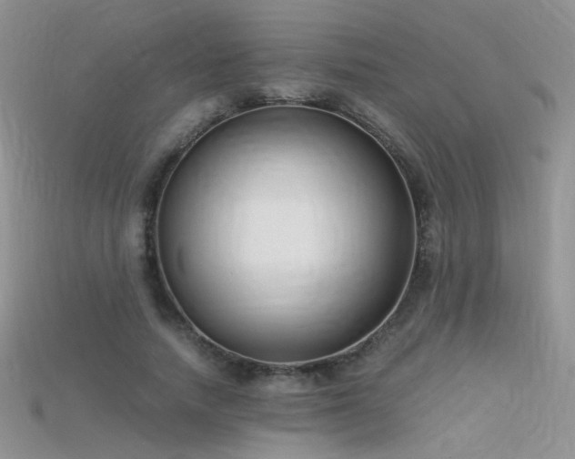 X0000115700738200911121404