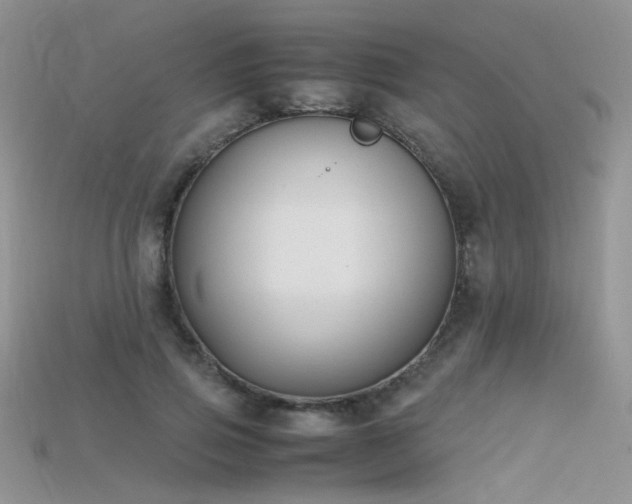 X0000115700741200911121404